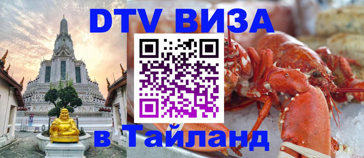 Сколько стоит DTV виза — актуальные цены, оформление даже без документов - Брюссель  09.01.2026 